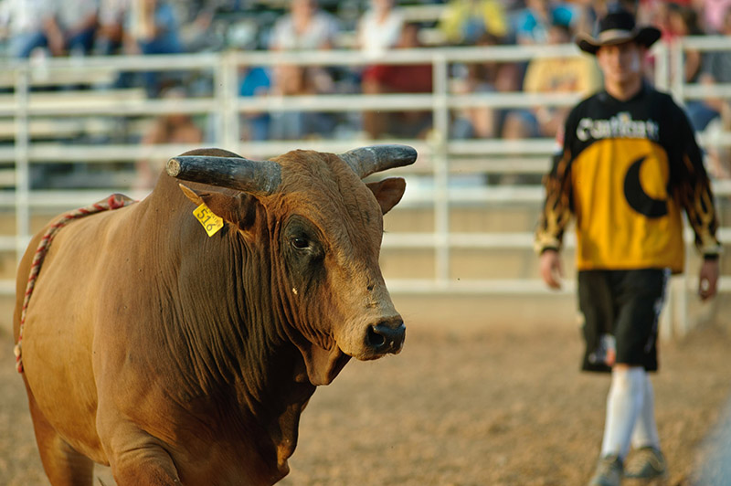 Tennessee Rodeo